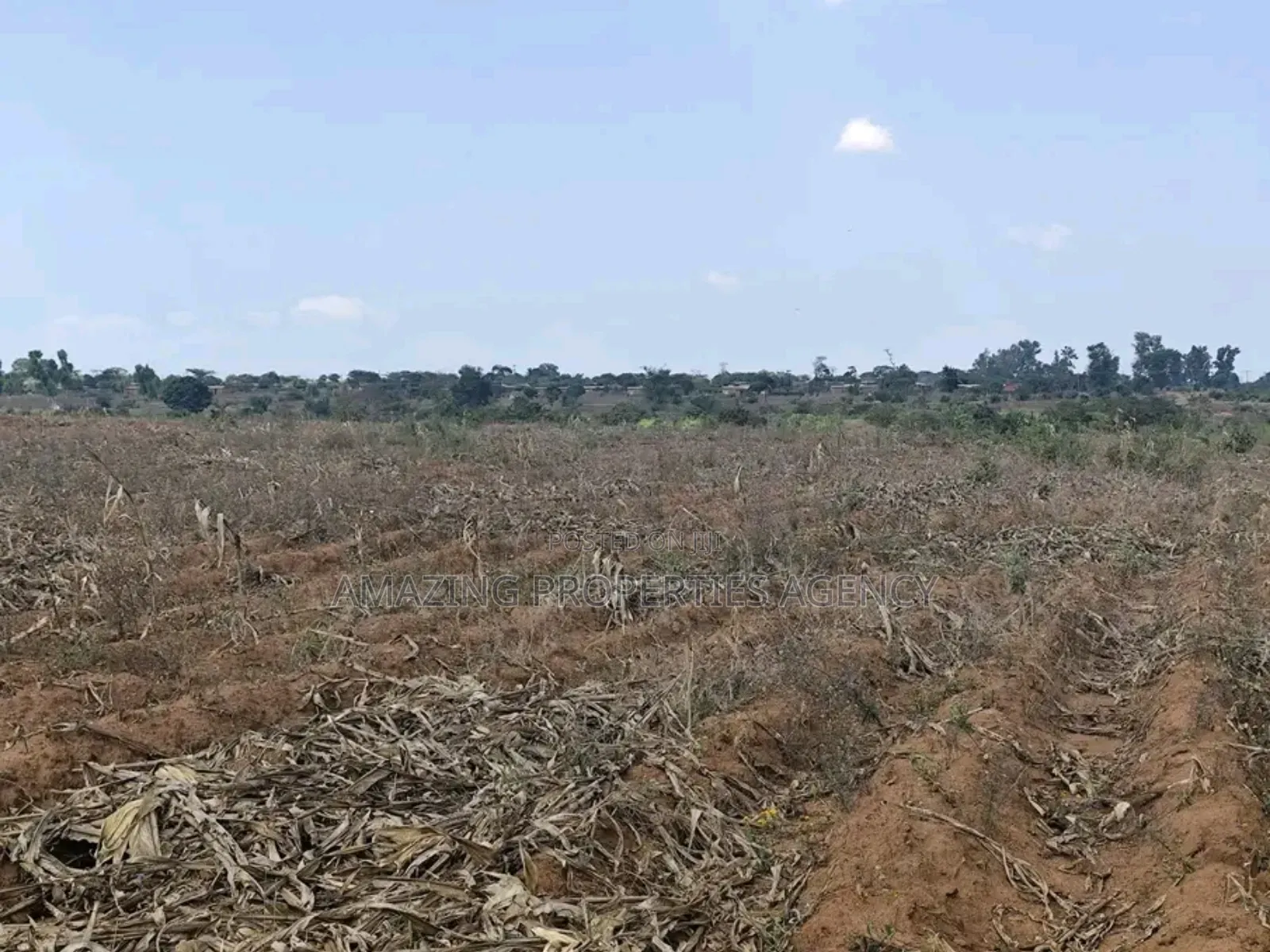15 Acres of Land at Tema Industrial Area in Tema Metropolitan
