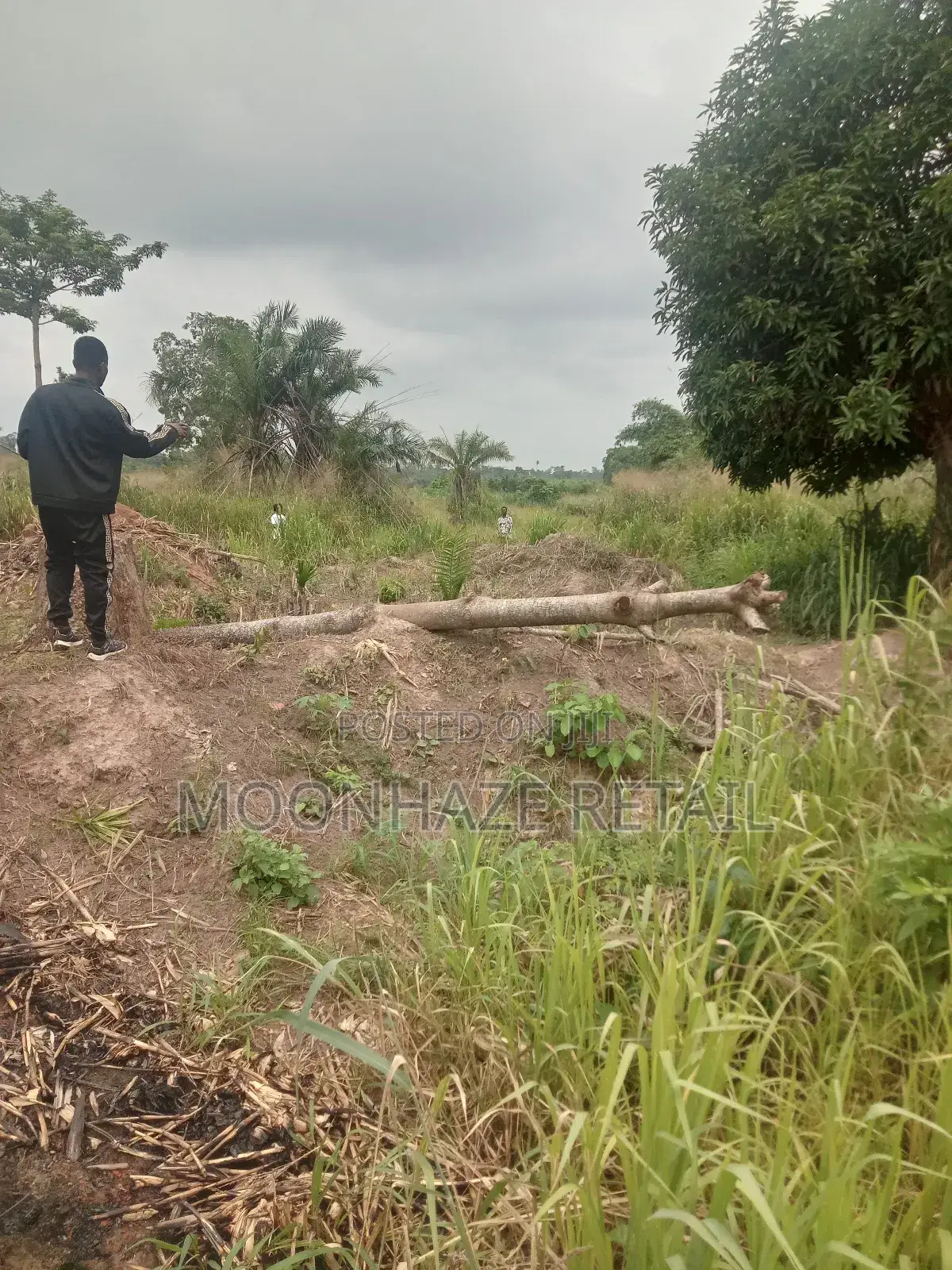 Hot Lands for Sale at Jachie-Pramso, Bosomtwe District! in Bosomtwe