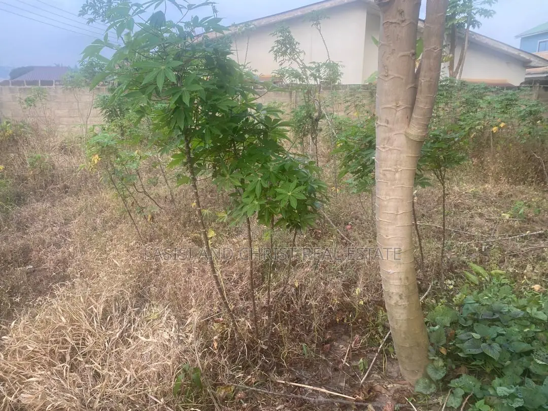 Fenced Land at Amasaman for Sale in Amasaman