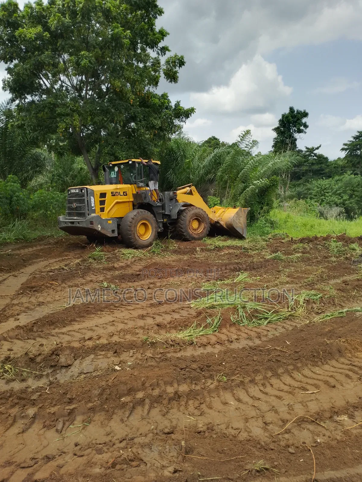 200 Acres of Farmland for Sale in Ayensuano