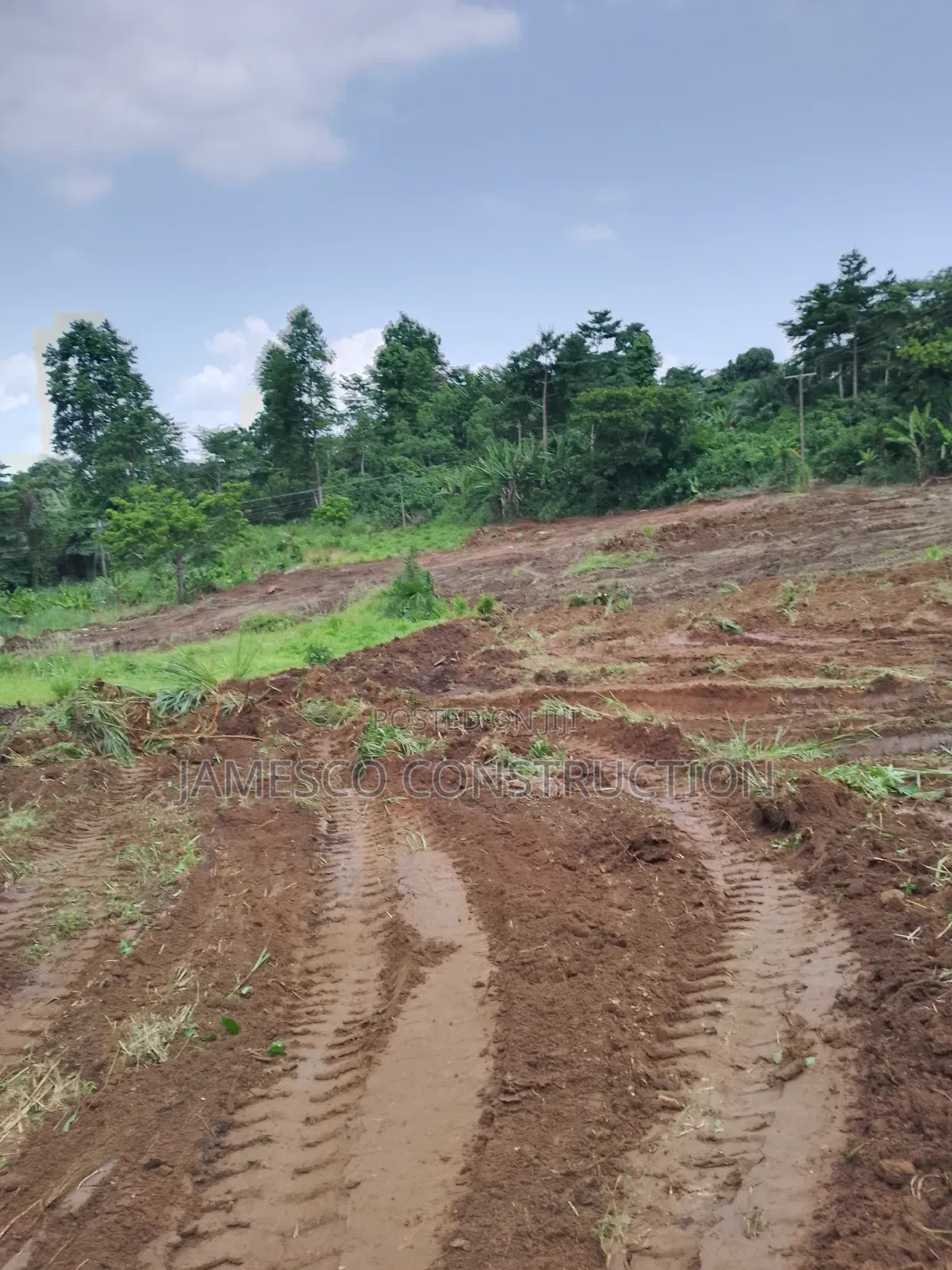 200 Acres of Farmland for Sale in Ayensuano