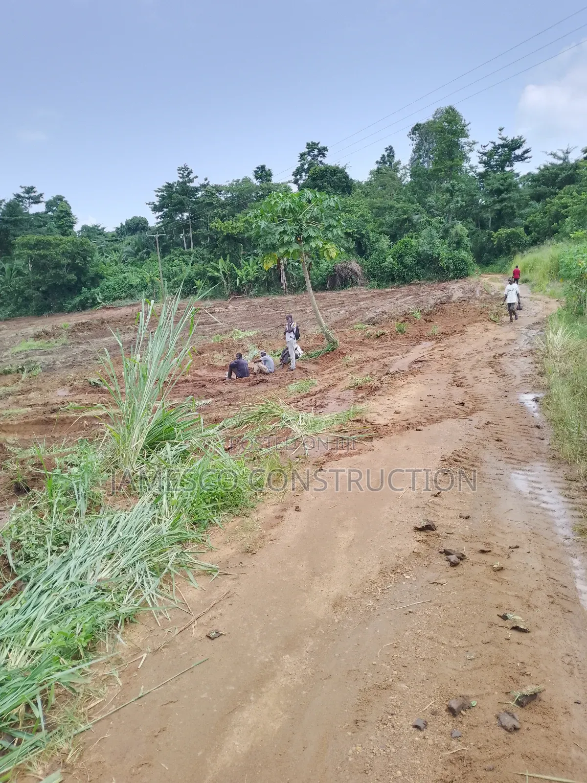 200 Acres of Farmland for Sale in Ayensuano