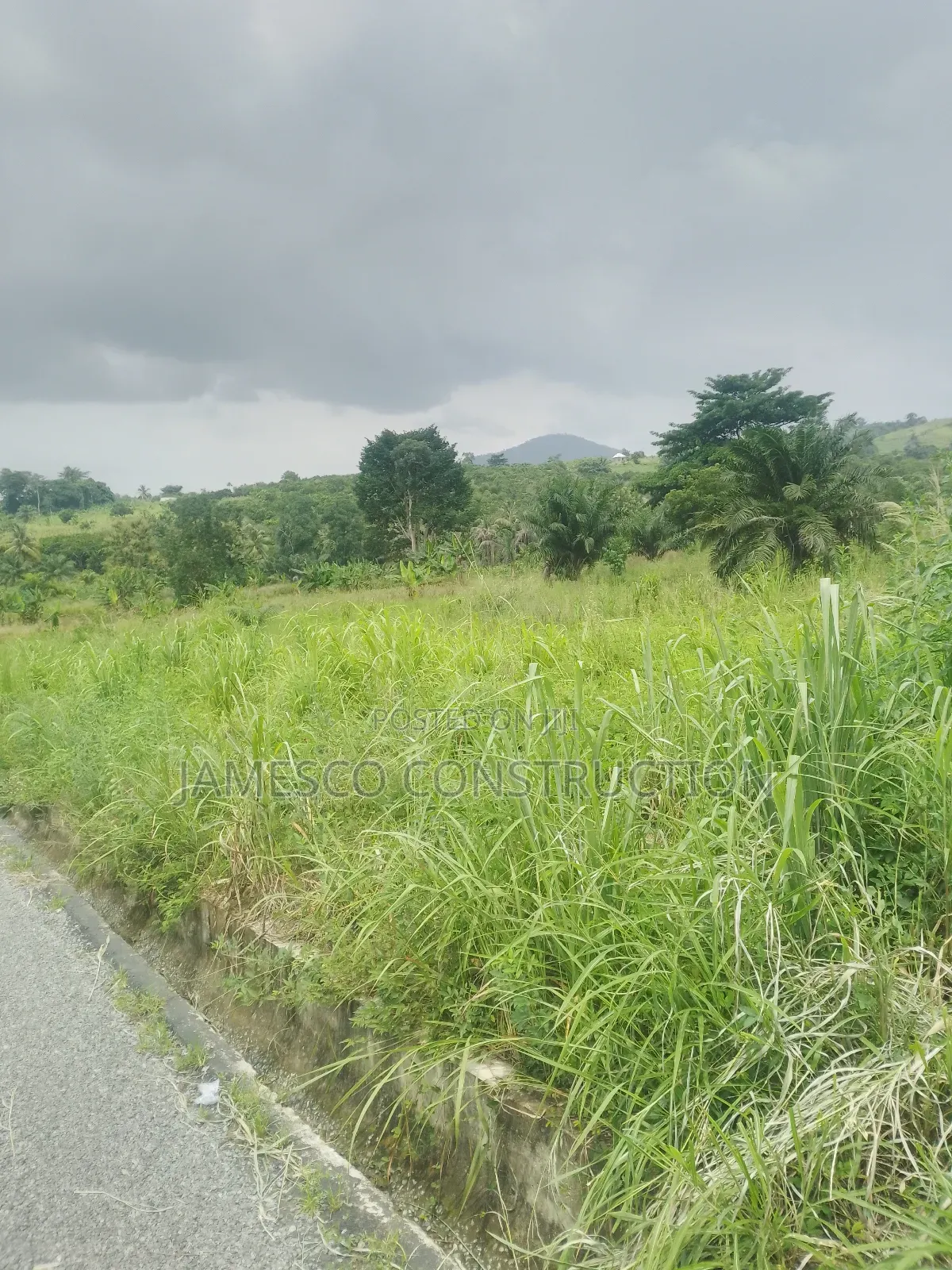 Main Road  Side Farmlands for Sale in Ayensuano