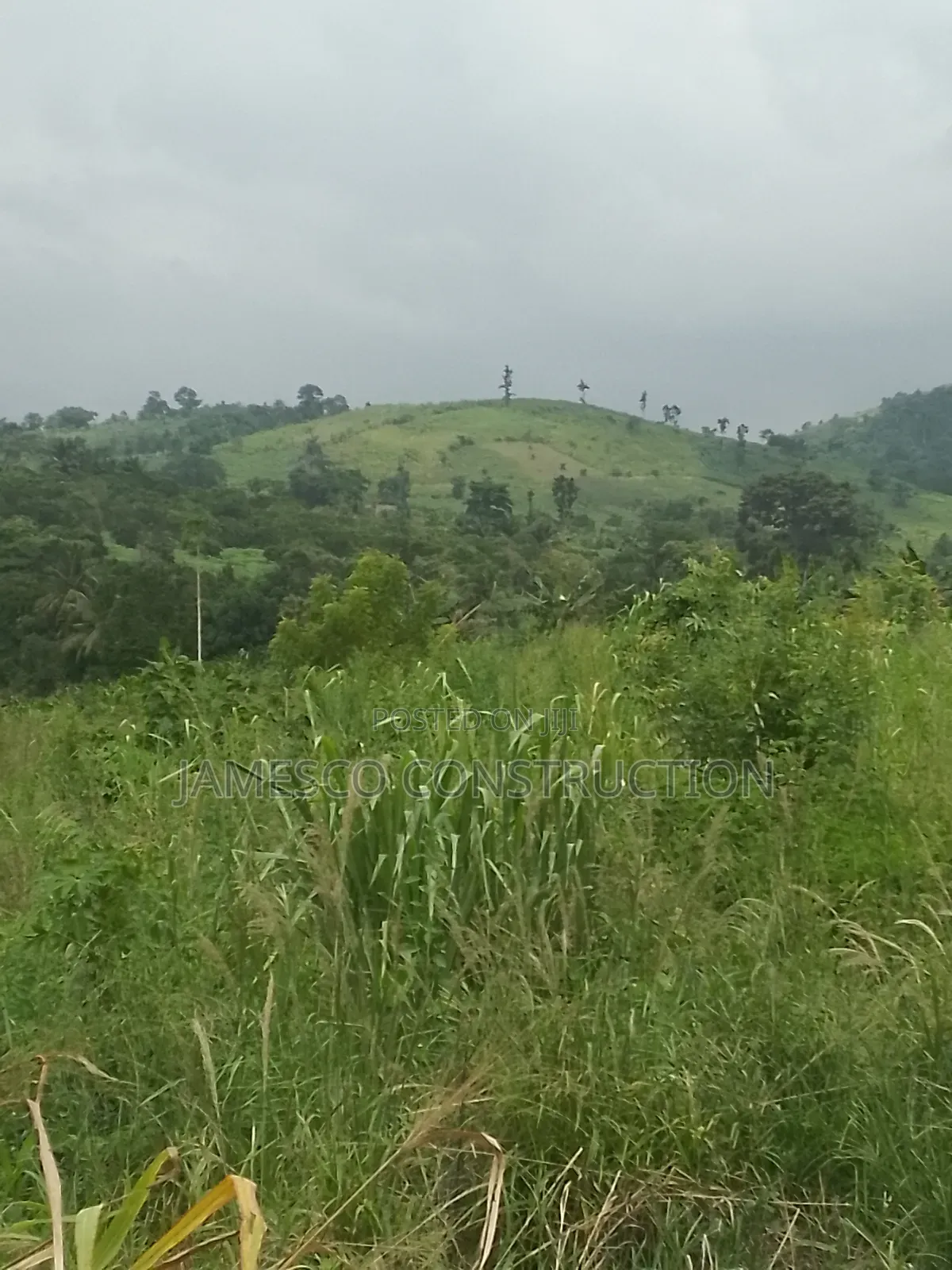 Main Road  Side Farmlands for Sale in Ayensuano