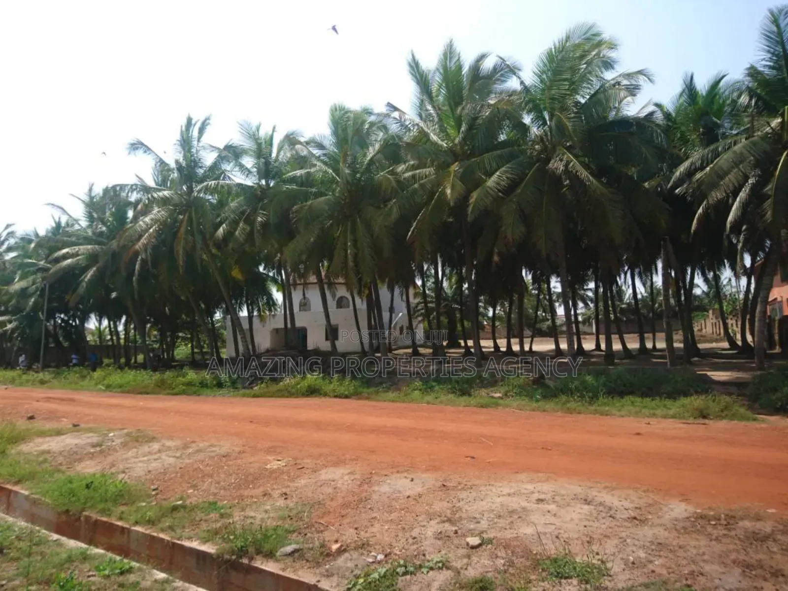 7 Plots of Beach Land for Sale at Nungua in Nungua