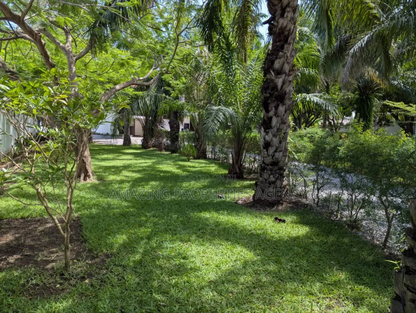 8bdrm House in Cantonments for rent in Cantonments