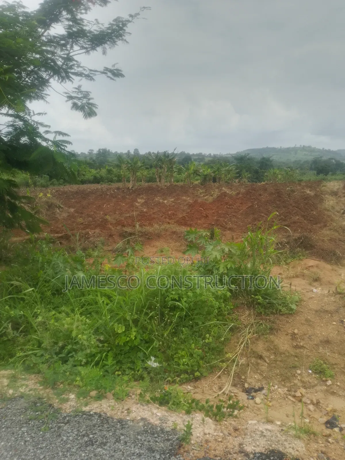 200 Acres of Farmland for Sale Nsawam Otoase _ Manful in Ayensuano
