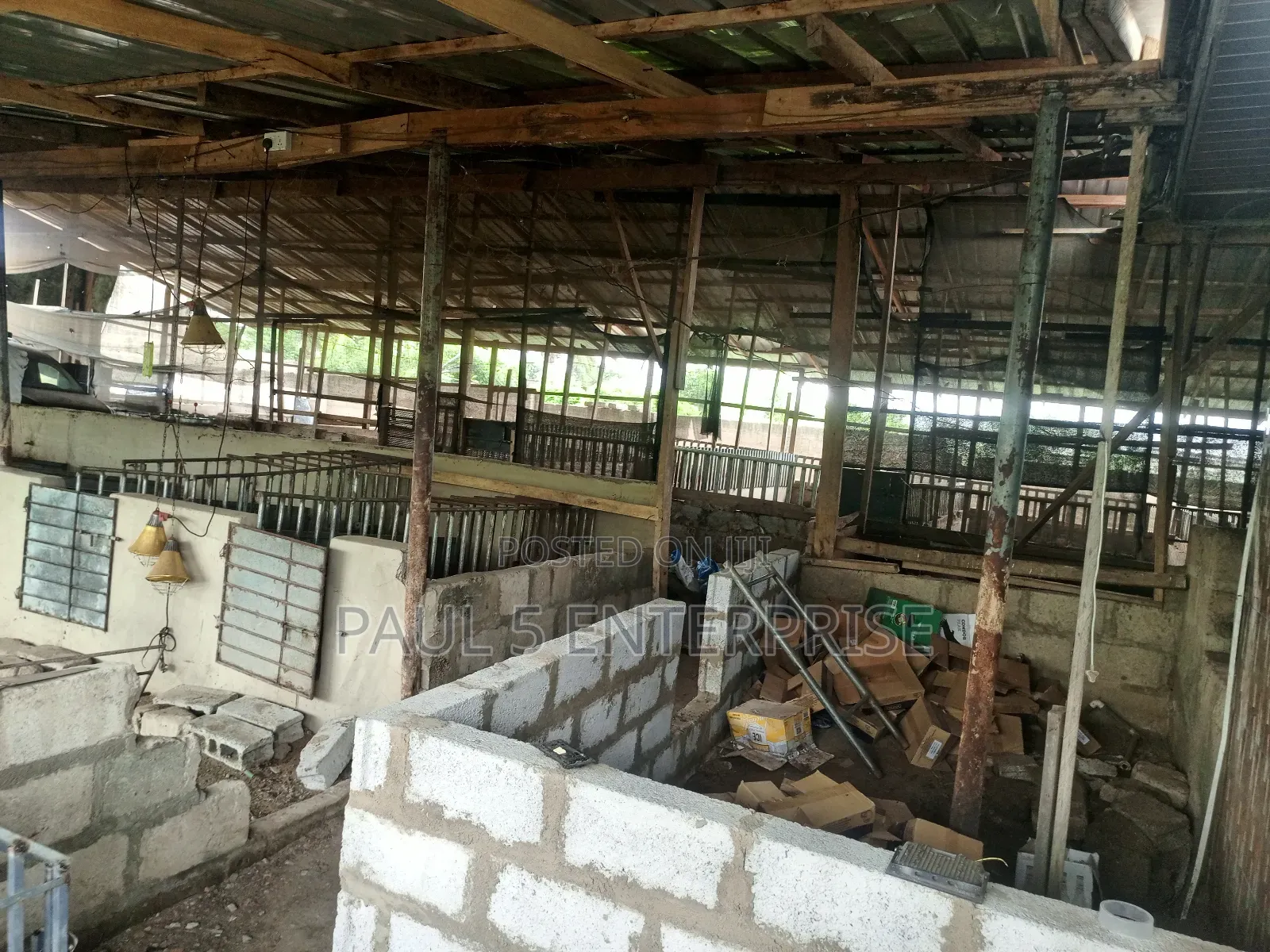 Poultry or Pig Farm for Sale at Kasoa Ofaakor Gada in Kasoa
