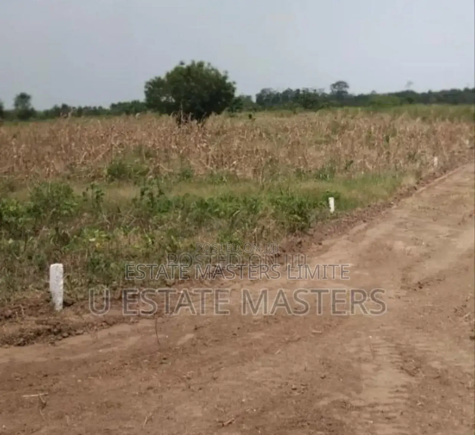 Land Bought Dream Achieved Buy A Land At Panfokrom Now in Gomoa East