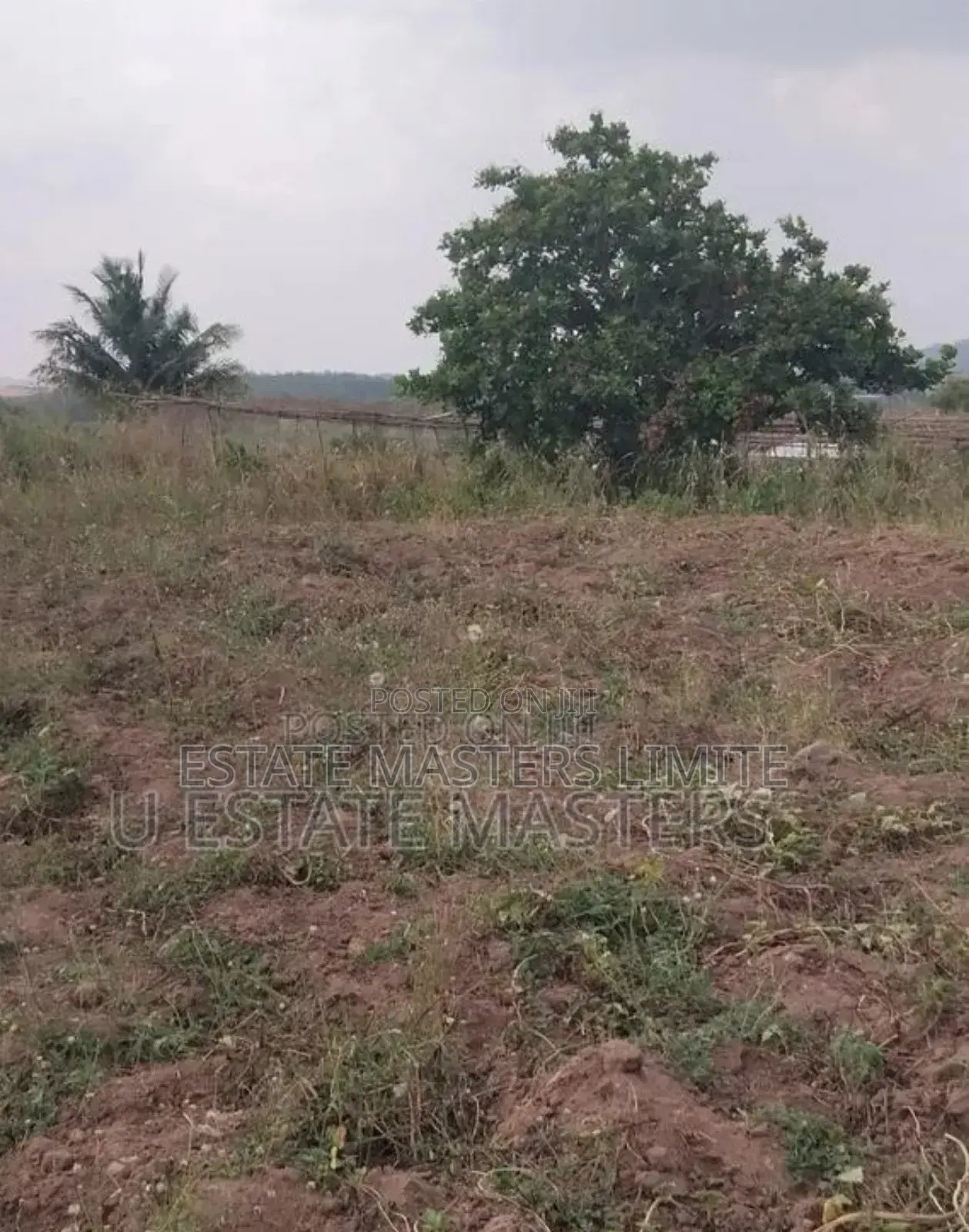 Our Vision Your Property Buy Full Plots Of Land From Us Now in Gomoa East