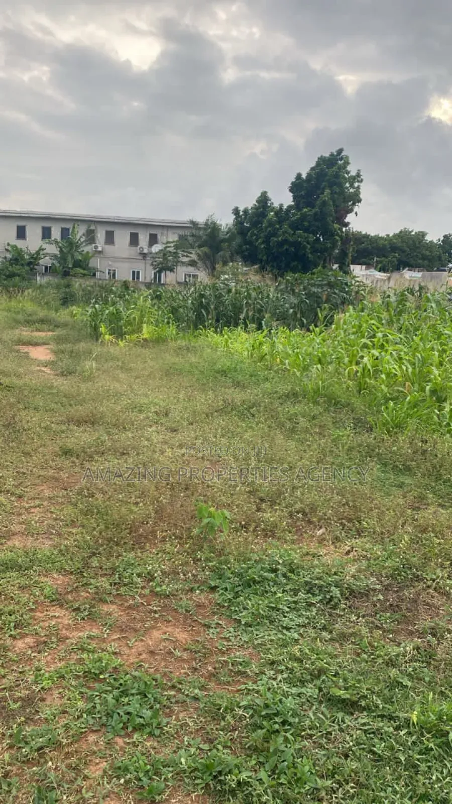 Two Acres of Title Land for Sale at Tesano in Tesano