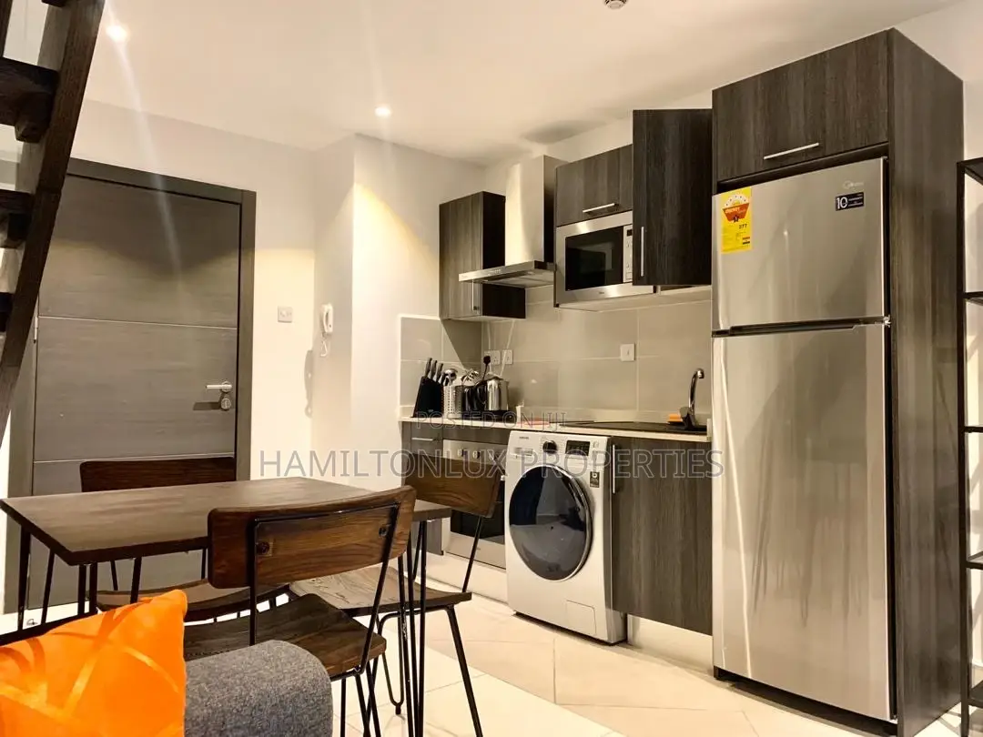 Furnished 1bdrm Apartment in Cabtonments, US Embassy Area for rent in US Embassy Area