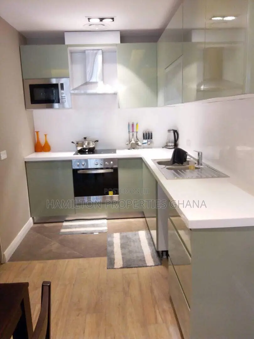 Furnished 1bdrm Apartment in Cabtonments, Cantonments for rent in Cantonments