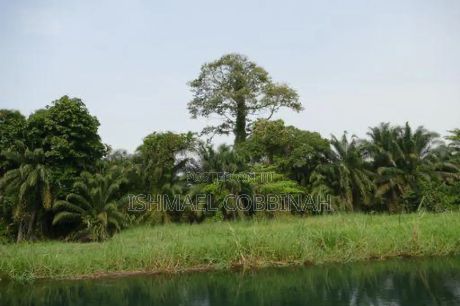 Litigation Free 30 Plot of Lands Forsale at Atimpoku in Asuogyaman