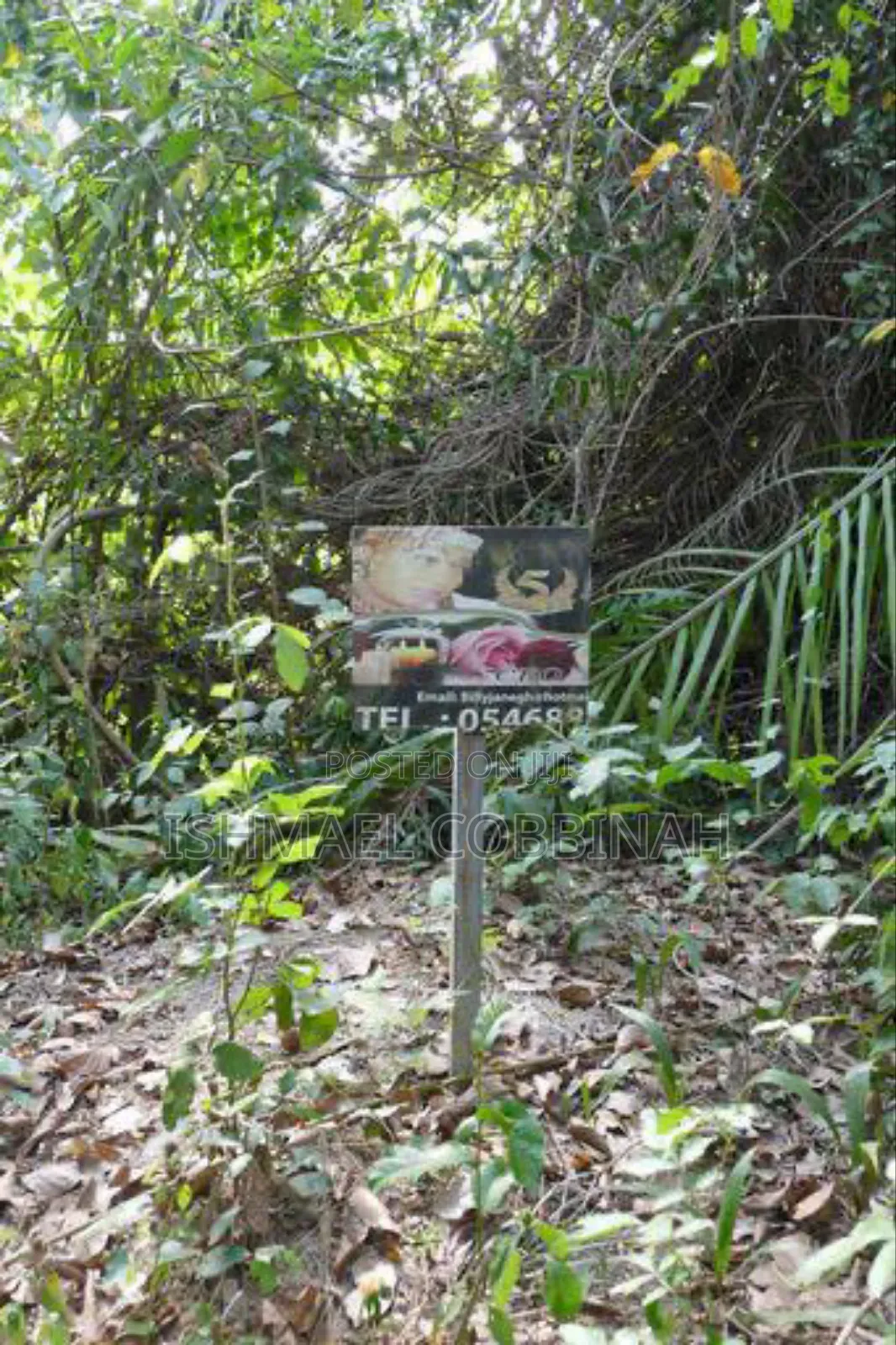 Litigation Free 30 Plot of Lands Forsale at Atimpoku in Asuogyaman