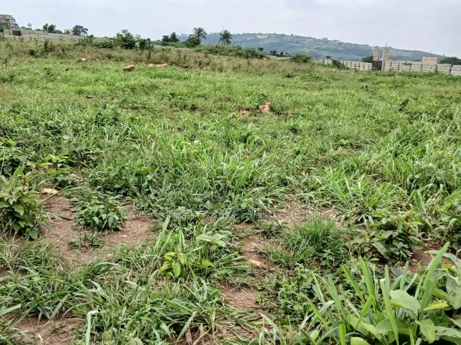 20 Acres of Land for Sale at Haatseo Dvla Area in Haatso