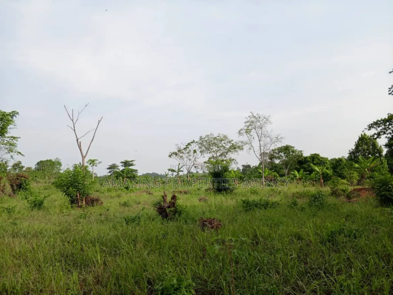 5 Acres of Prime Land at East Legon in School Junction