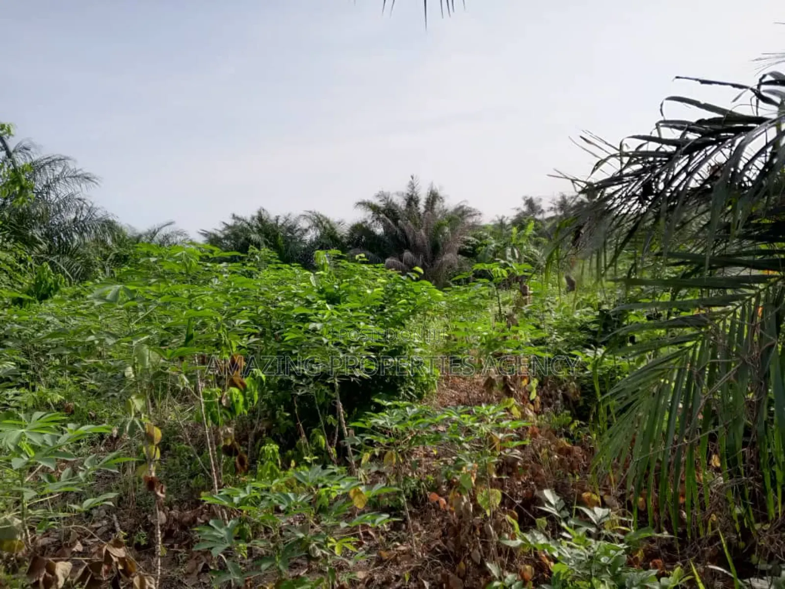 2 and Half Plots Land for Sale at School Junction in East Legon