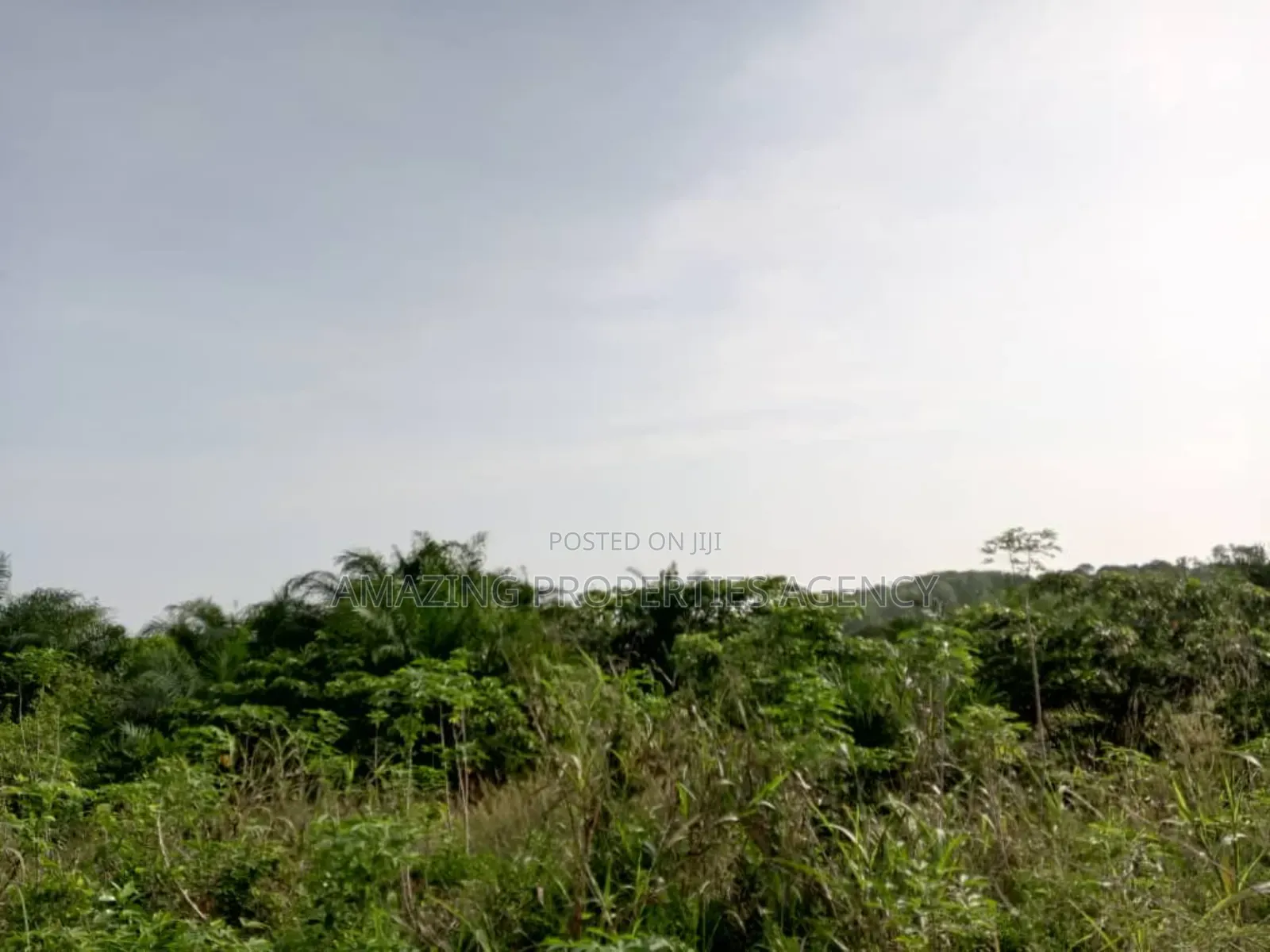 2 and Half Plots Land for Sale at School Junction in East Legon