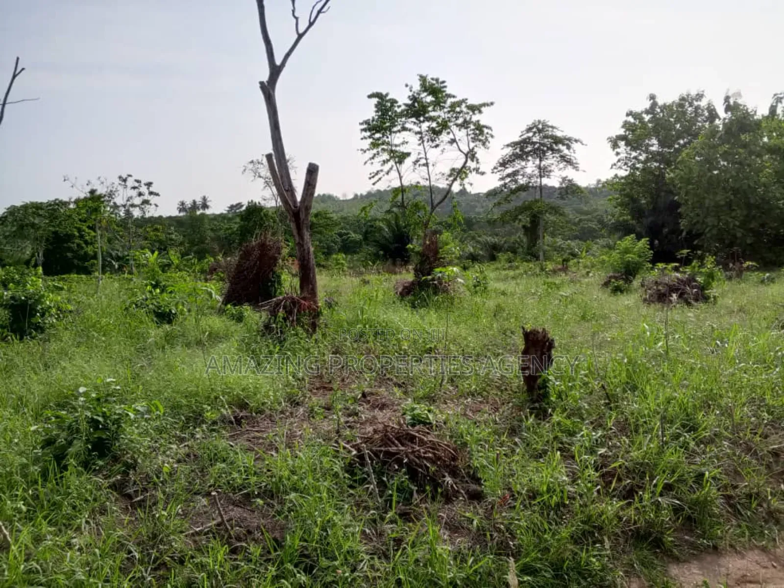5 Acres of Prime Land for Sake at Okponglo in East Legon