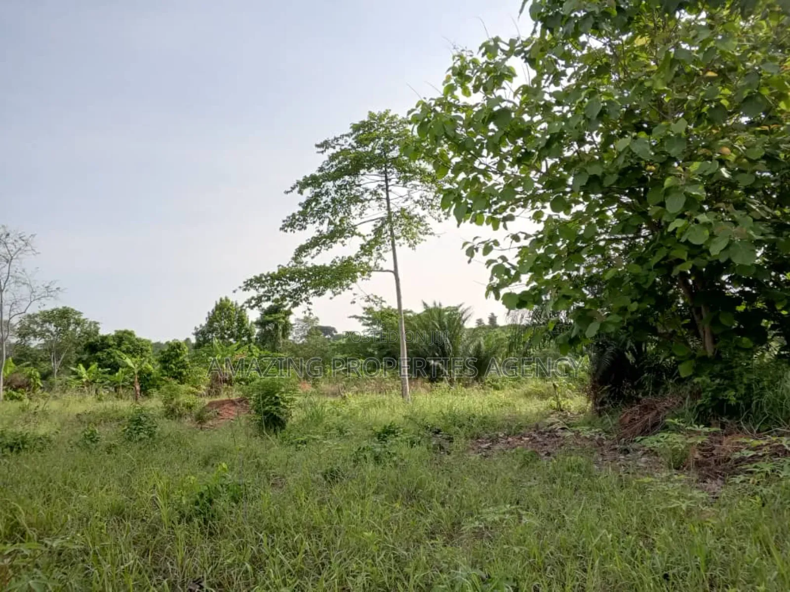 5 Acres of Prime Land for Sake at Okponglo in East Legon