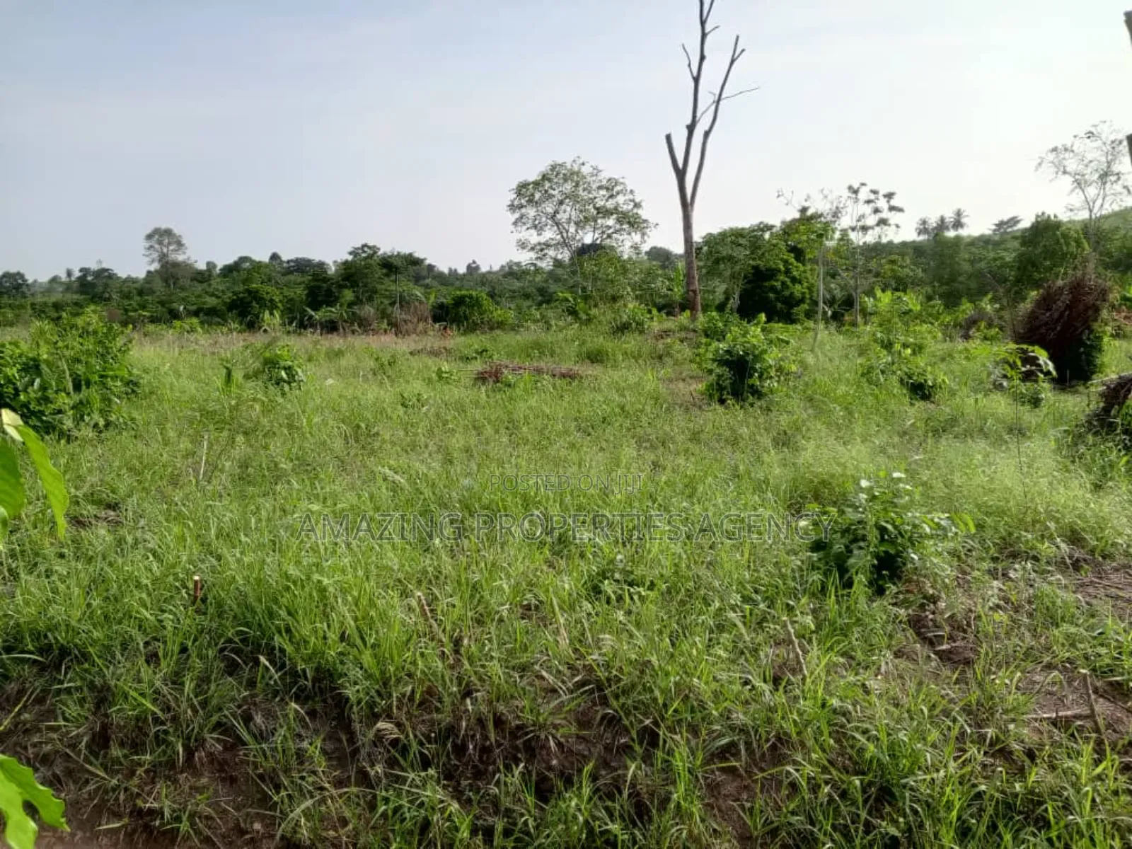 70x100 Plots of Land for Sale at East Legon in East Legon