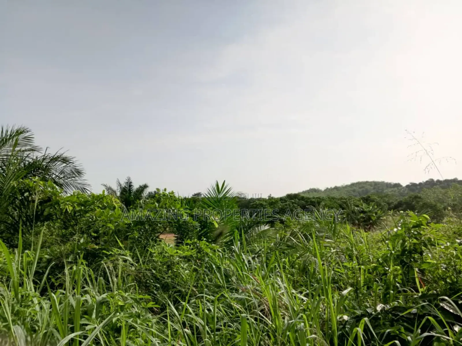 70x100 Plots of Land for Sale at East Legon in East Legon