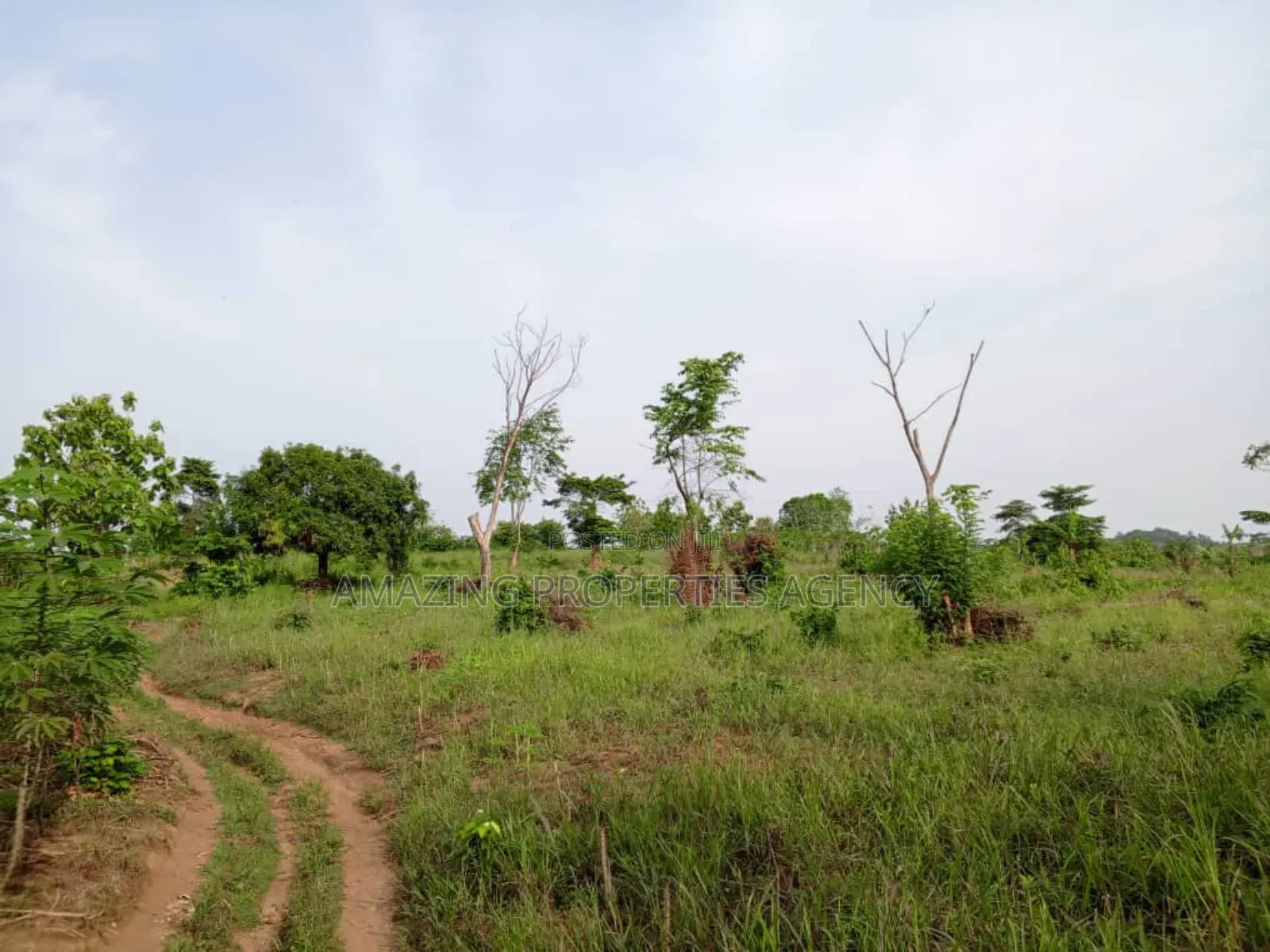10'000 Acres of Land for Sale at Adeiso in West Akim Municipal