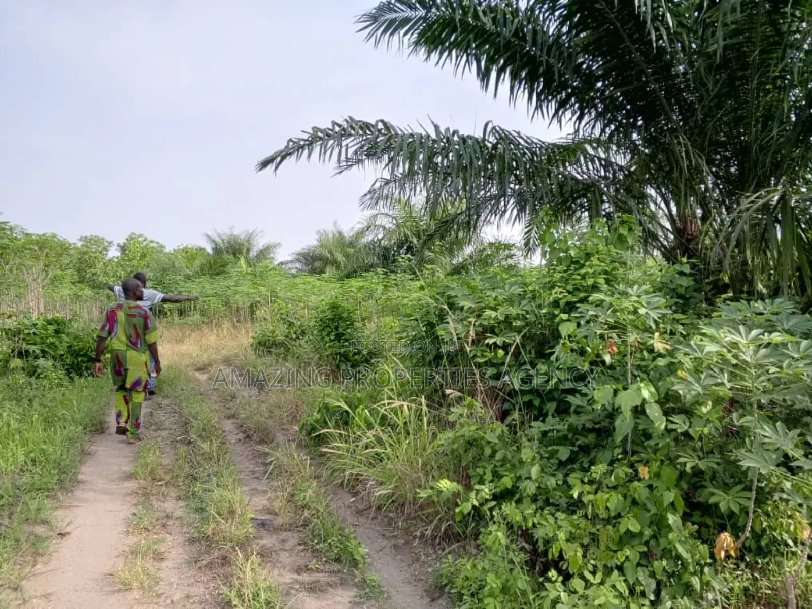 20 000 Acres of Land for Sale at Nsawam in Akuapim South
