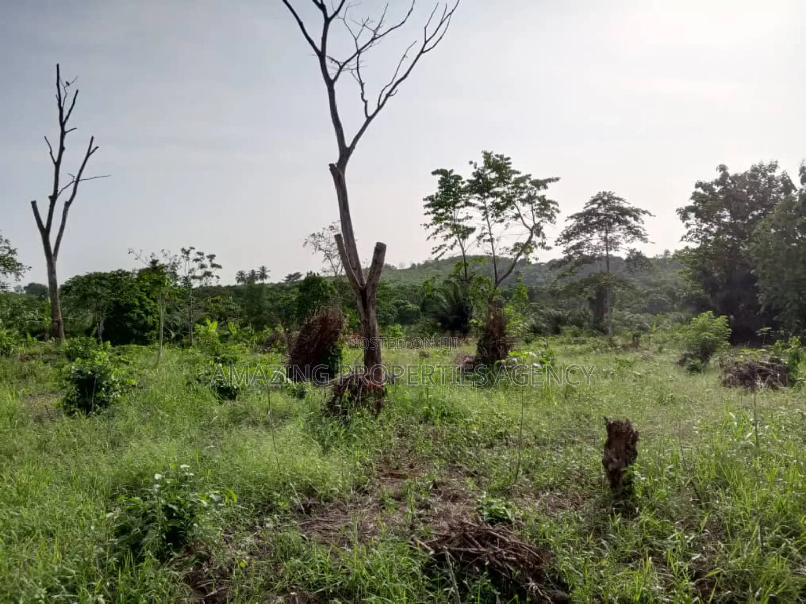 20 000 Acres of Land for Sale at Nsawam in Akuapim South