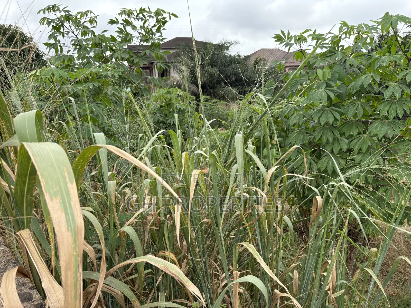One Full Plot Sale at Hilltop. in Kumasi Metropolitan