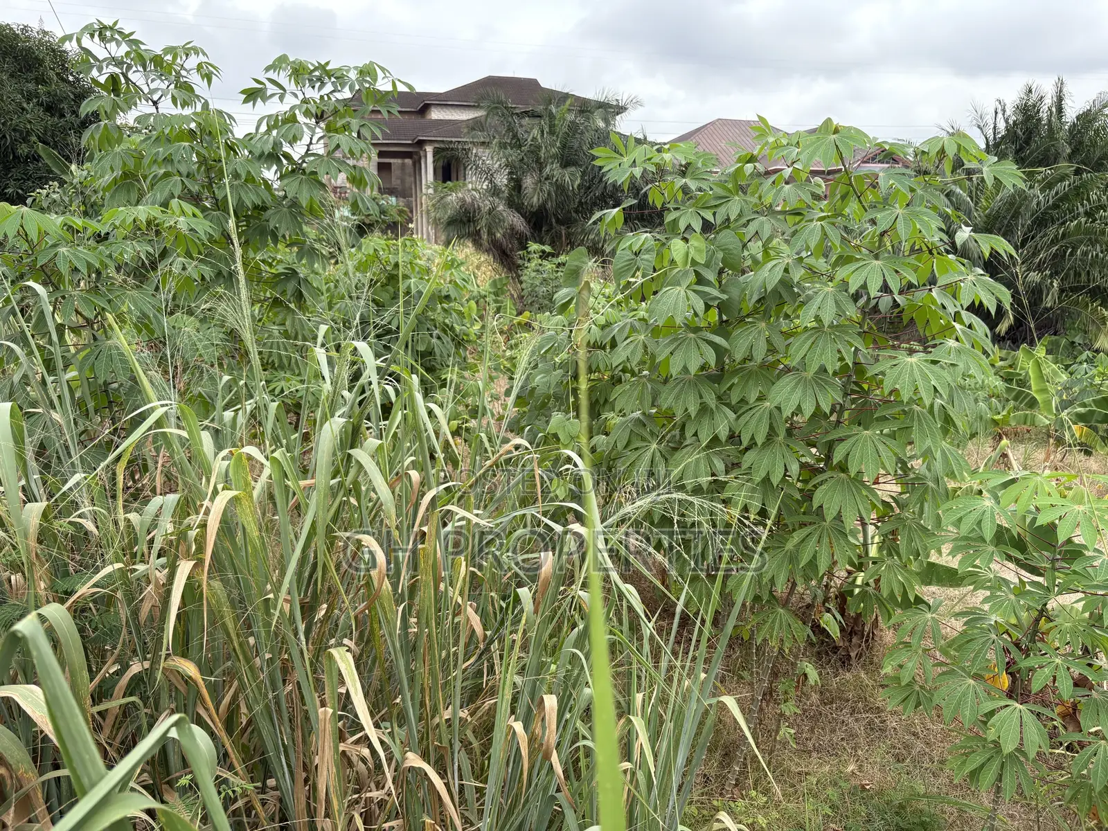 One Full Plot Sale at Hilltop. in Kumasi Metropolitan