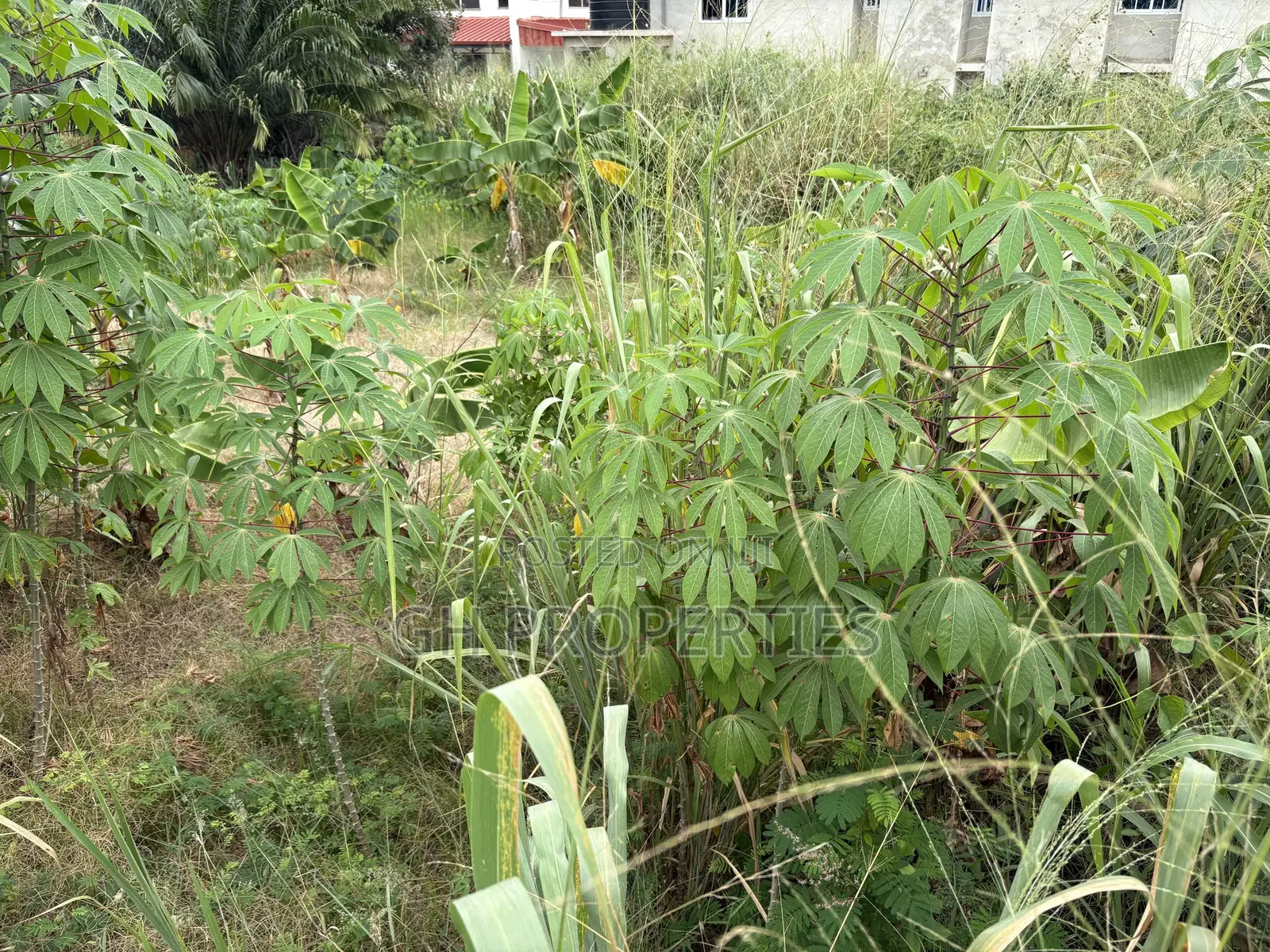 One Full Plot Sale at Hilltop. in Kumasi Metropolitan