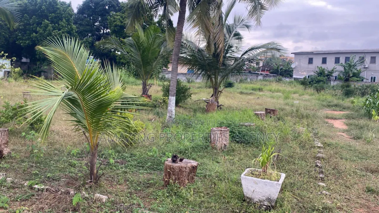 Almost 2 Acres of Land for Sale at Tesano in Tesano