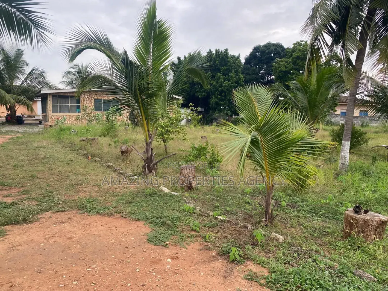 Almost 2 Acres of Land for Sale at Tesano in Tesano