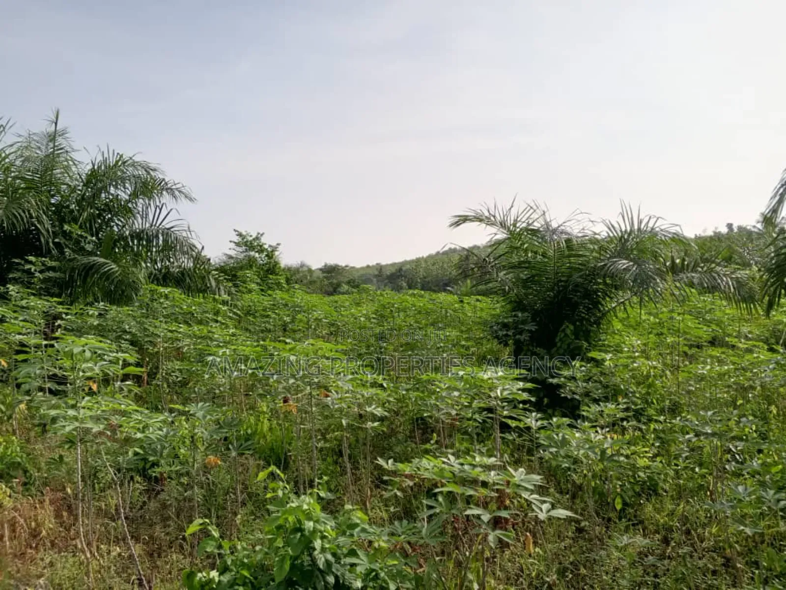 9 Plots of Land at Kweiman -Danfa in Abokobi