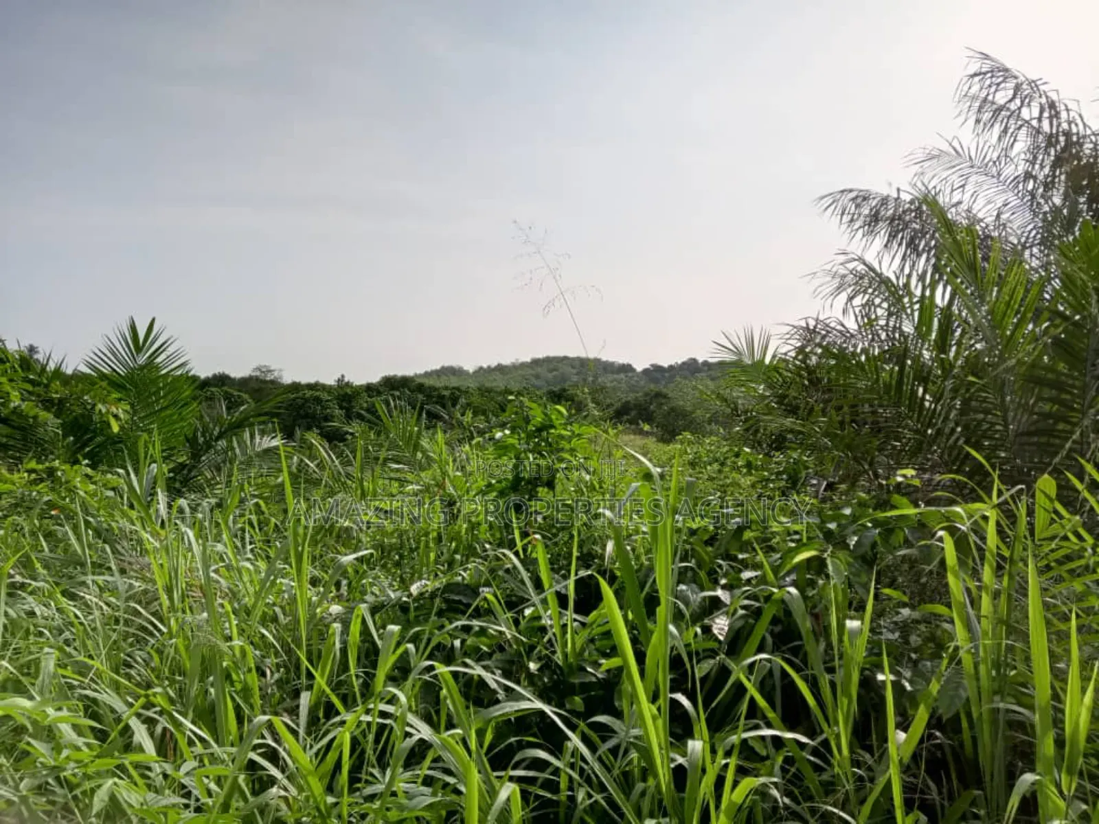 9 Plots of Land at Kweiman -Danfa in Abokobi