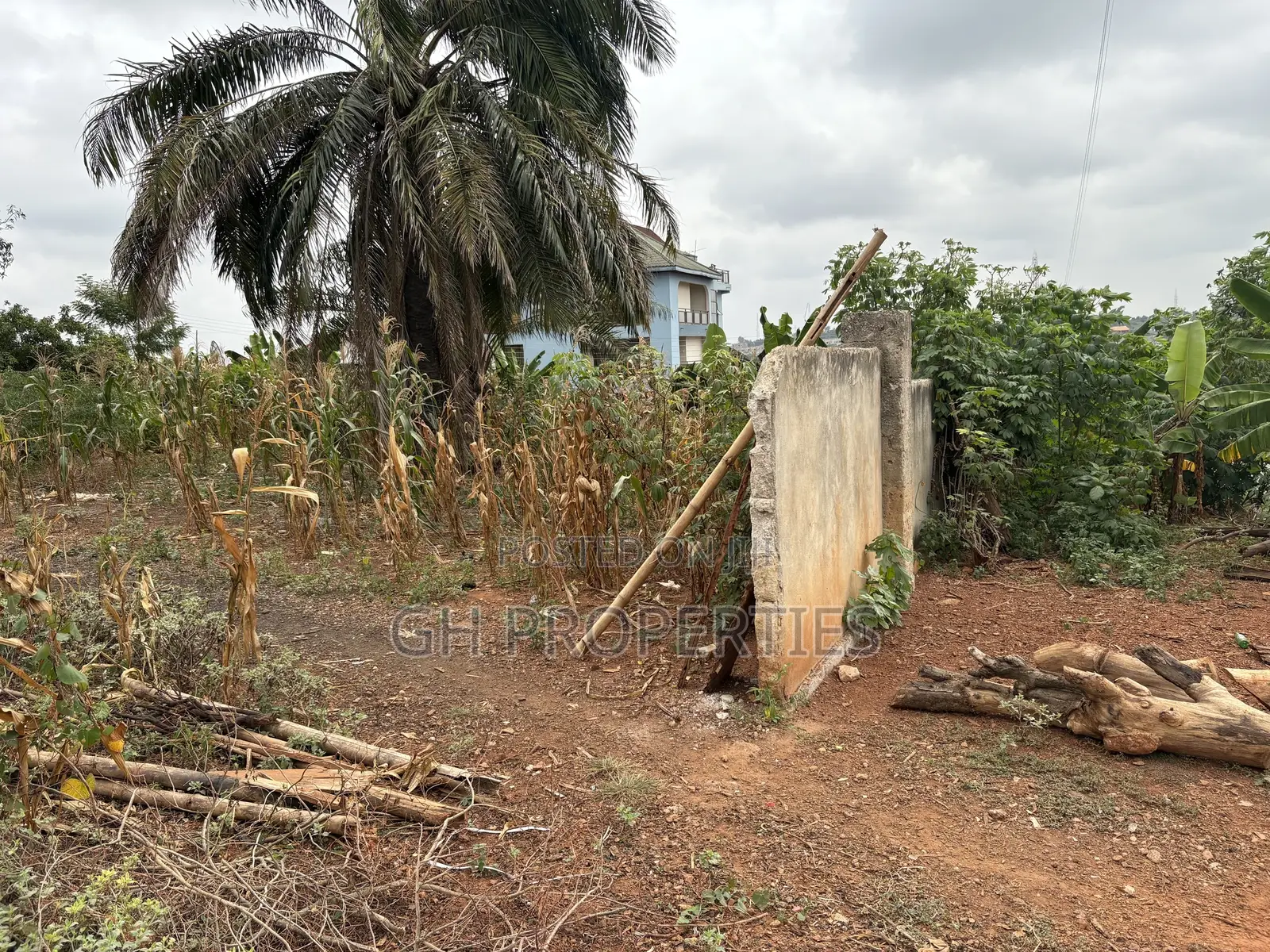 One Full Plot for Sale at Tuc,Kumasi. in Kumasi Metropolitan