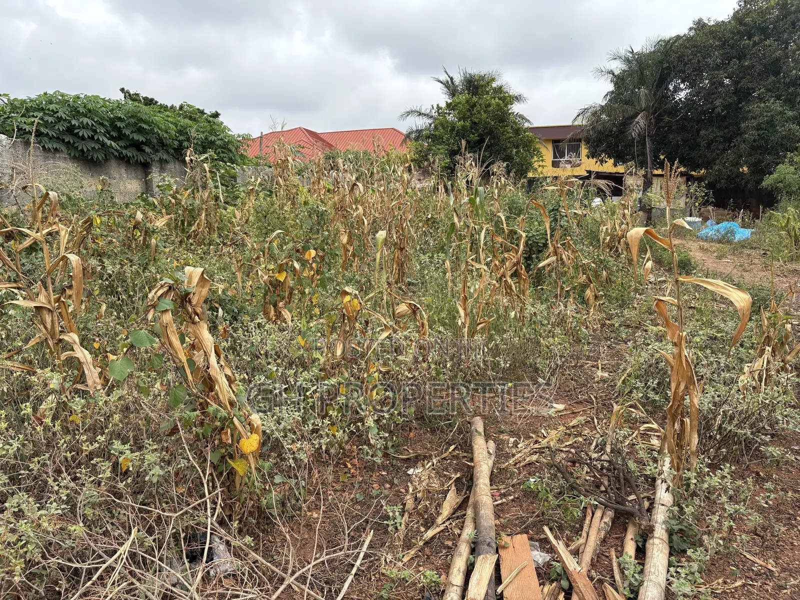 One Full Plot for Sale at Tuc,Kumasi. in Kumasi Metropolitan