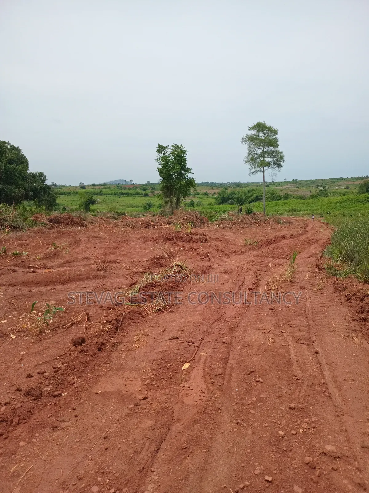 Alpha Estate Land for Sale Kweikrom in Awutu Senya East Municipal