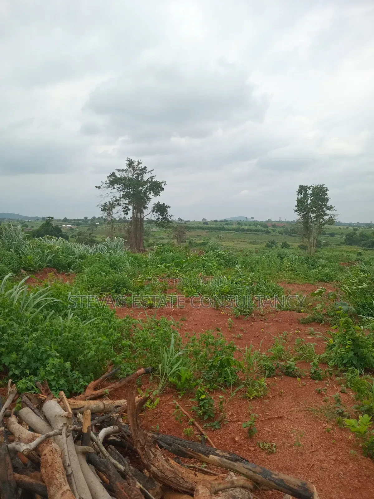 Alpha Estate Land for Sale Kweikrom in Awutu Senya East Municipal