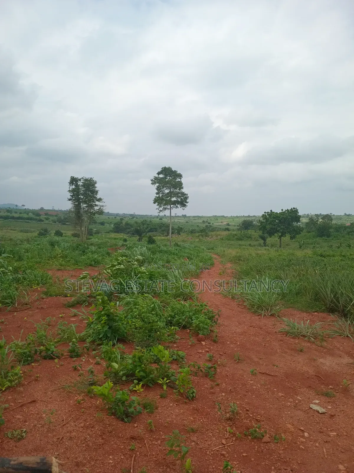 Alpha Estate Land for Sale Kweikrom in Awutu Senya East Municipal