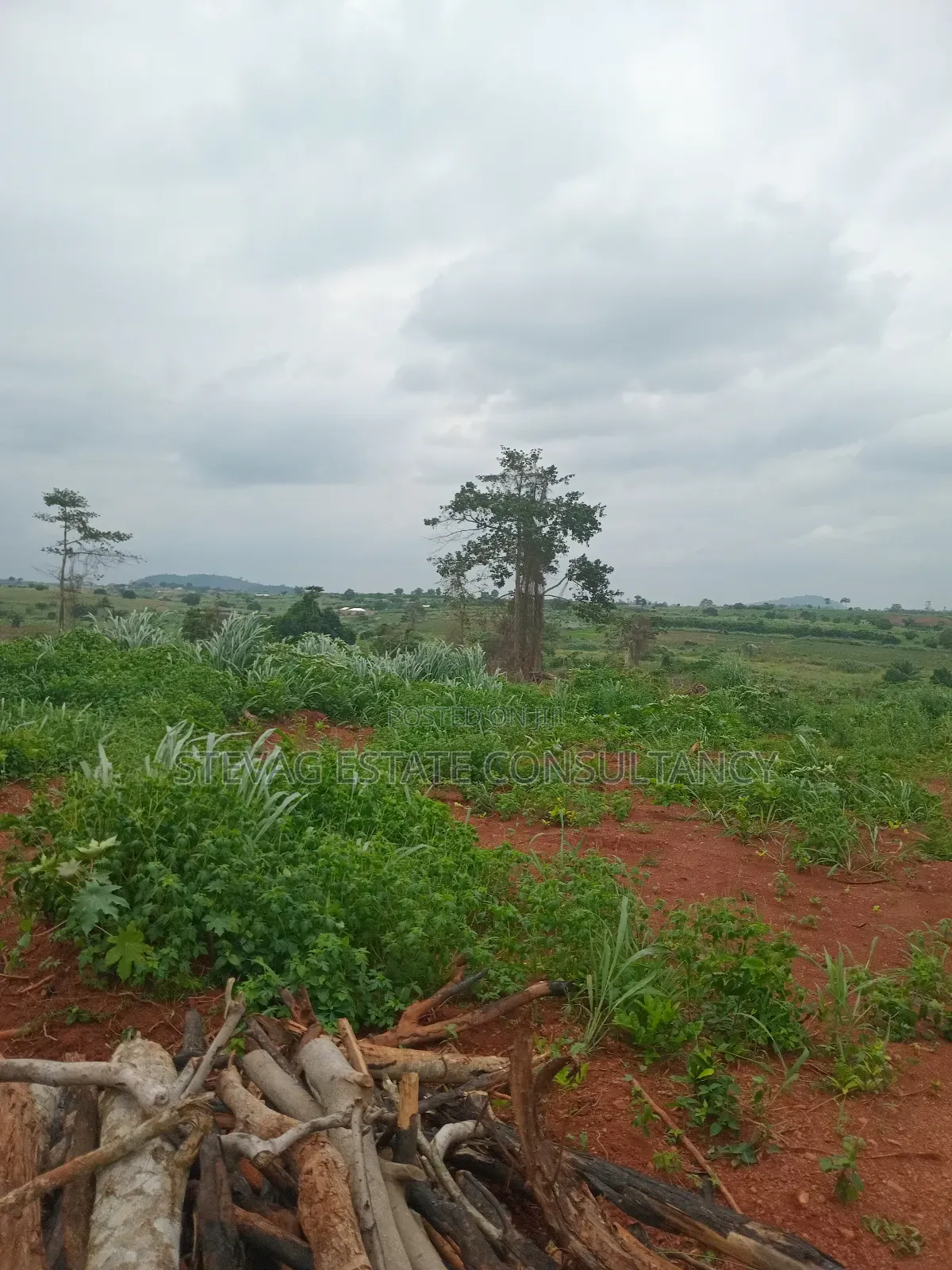 Alpha Estate Land for Sale Kweikrom in Awutu Senya East Municipal