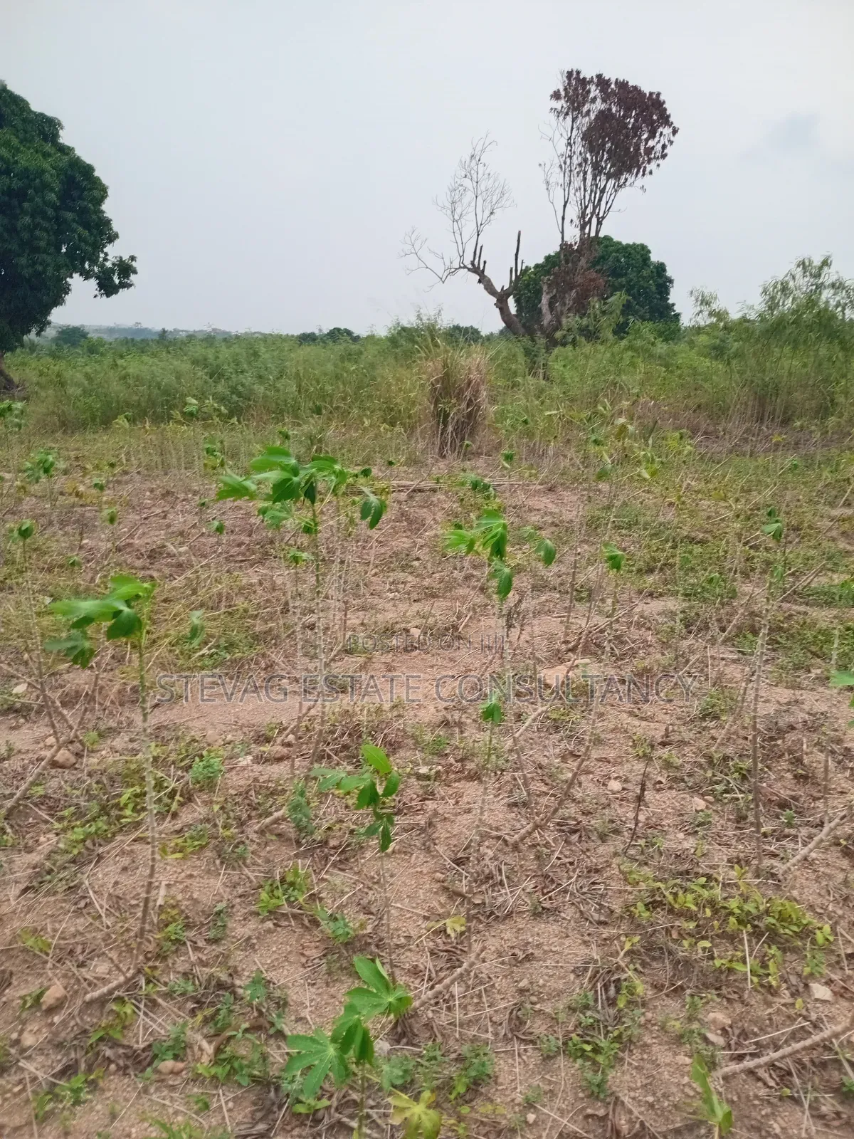 Estate Land for Sale at Akraman in Awutu Senya East Municipal