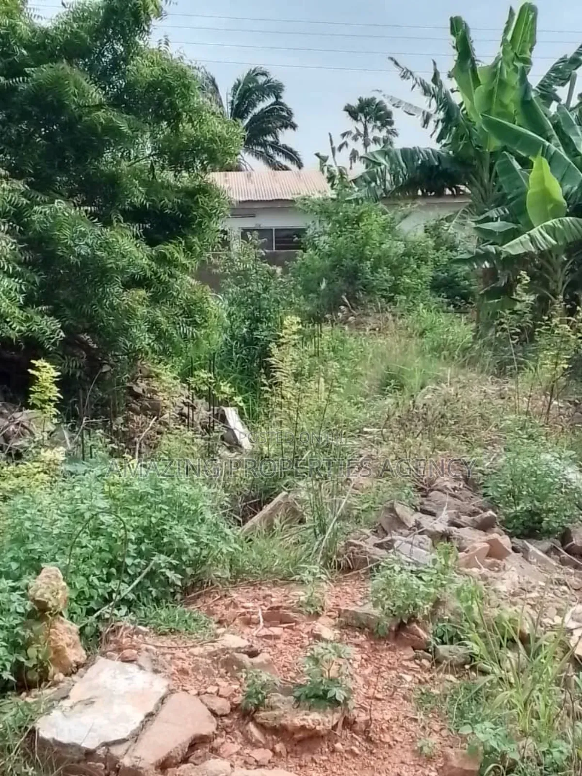 Bare Land for Sale at Tesano in Tesano