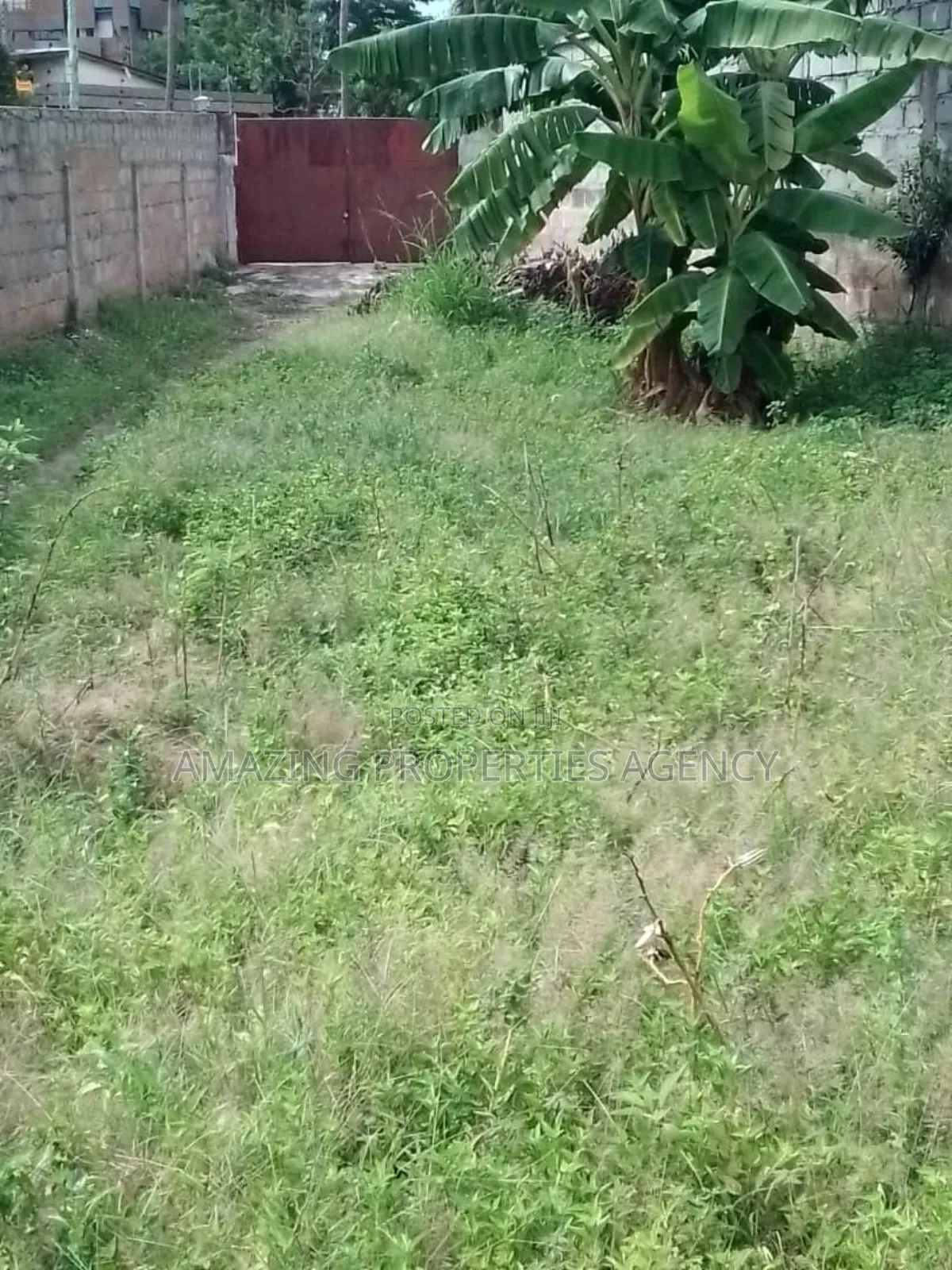 Bare Land for Sale at Tesano in Tesano