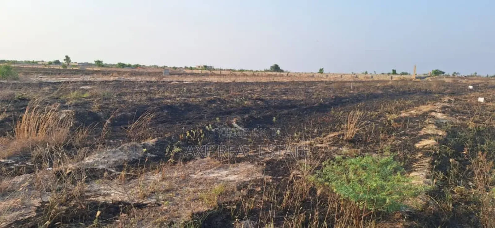 Own One of Demarcated Plots at Prampram in Prampram