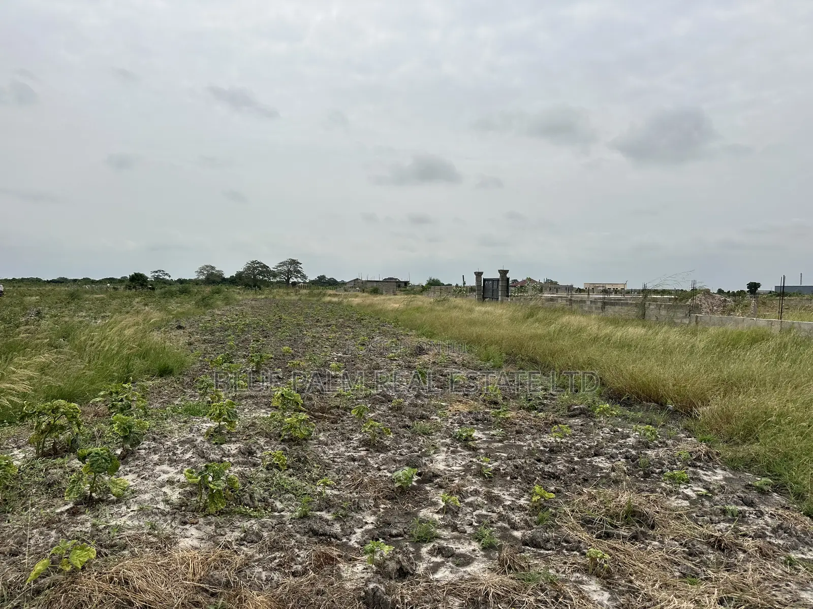 Dawhenya - Secure a Plot Here at Palm Haven Residence in New Ningo
