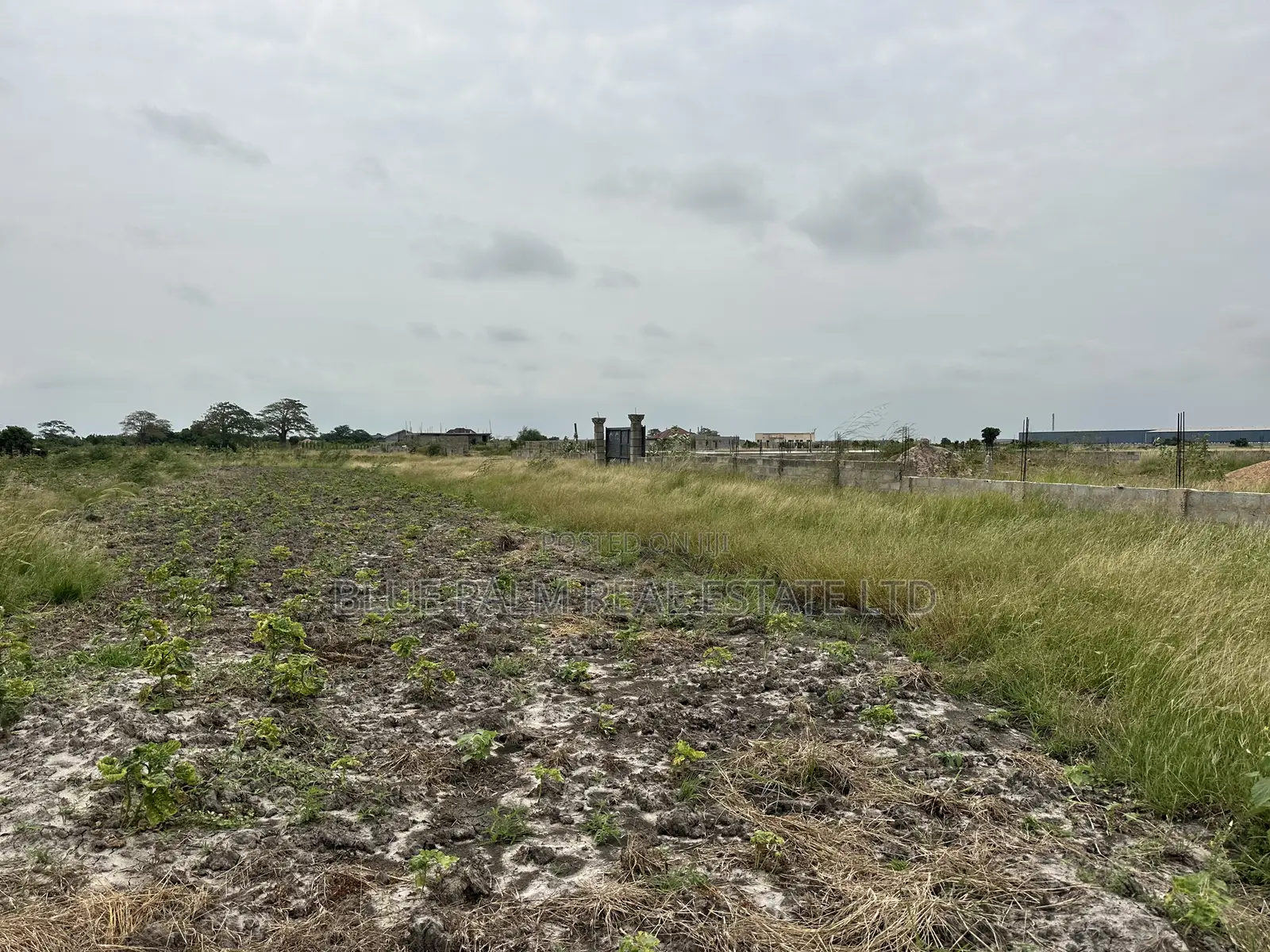 Dawhenya - Secure a Plot Here at Palm Haven Residence in New Ningo
