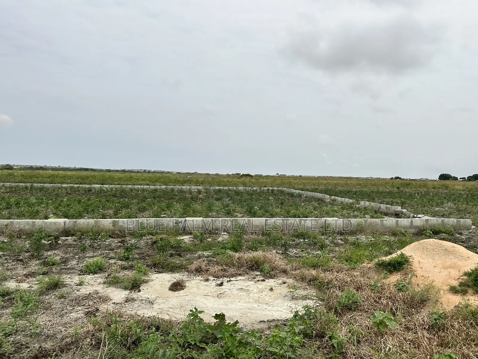 Dawhenya - Secure a Plot Here at Palm Haven Residence in New Ningo